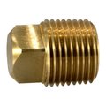 Midwest Fastener 1/2" IP Brass Square Head Plugs 2PK 32611